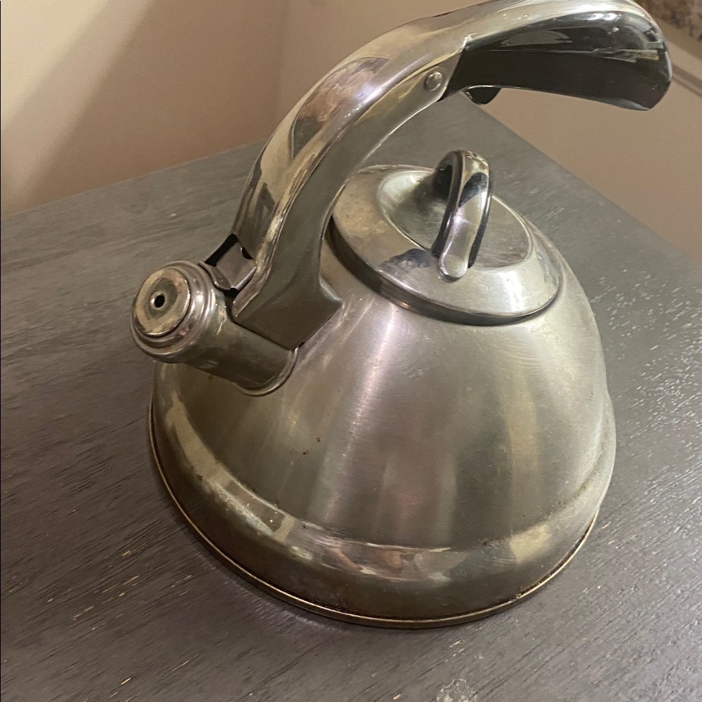 Stainless Steel Whistling Kettle with Black Handle - Picture 3 of 6